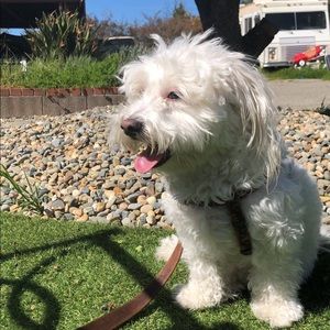 Meet your Posher, Moetrae